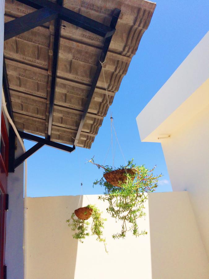 Bot Bien Homestay Mũi Né Exteriér fotografie